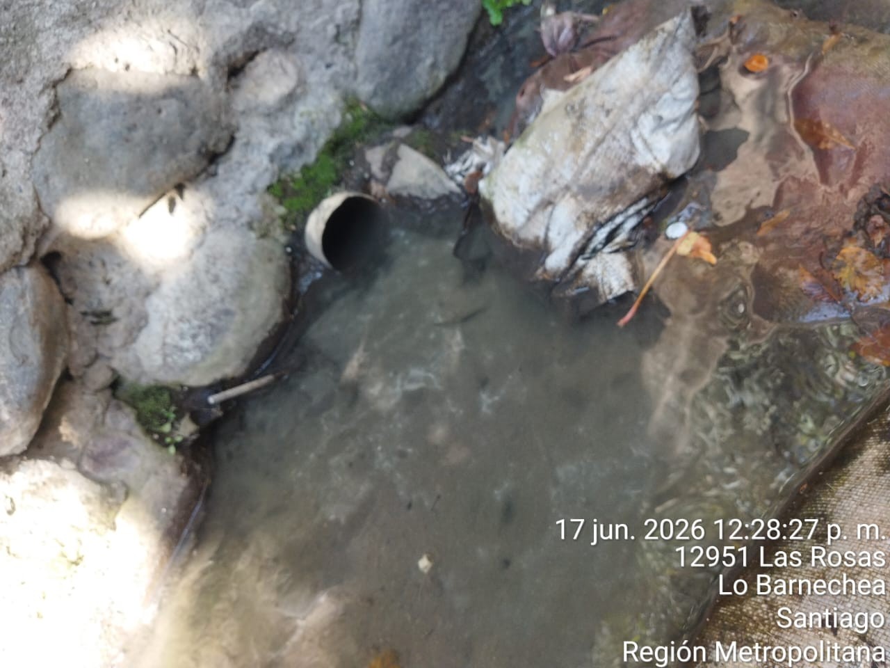 12951 Las Rosas — tubería descargando en pozo de agua