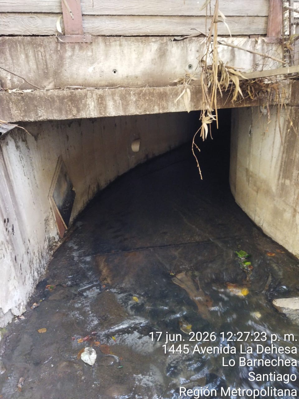 1445 Av. La Dehesa — entrada a cámara, agua oscura