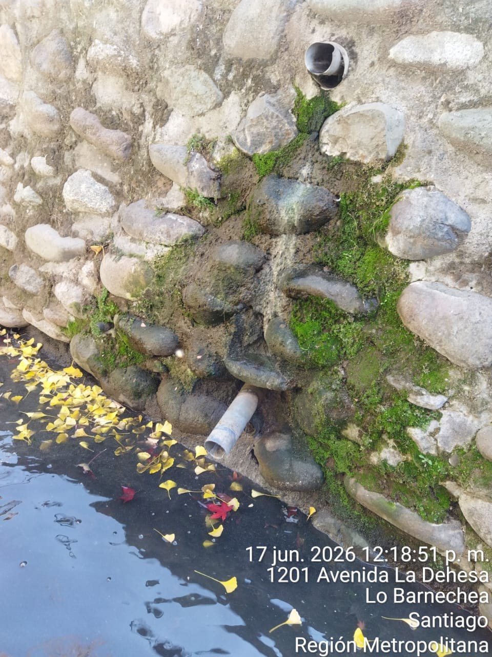 1201 Av. La Dehesa — tubería con escurrimiento y musgo