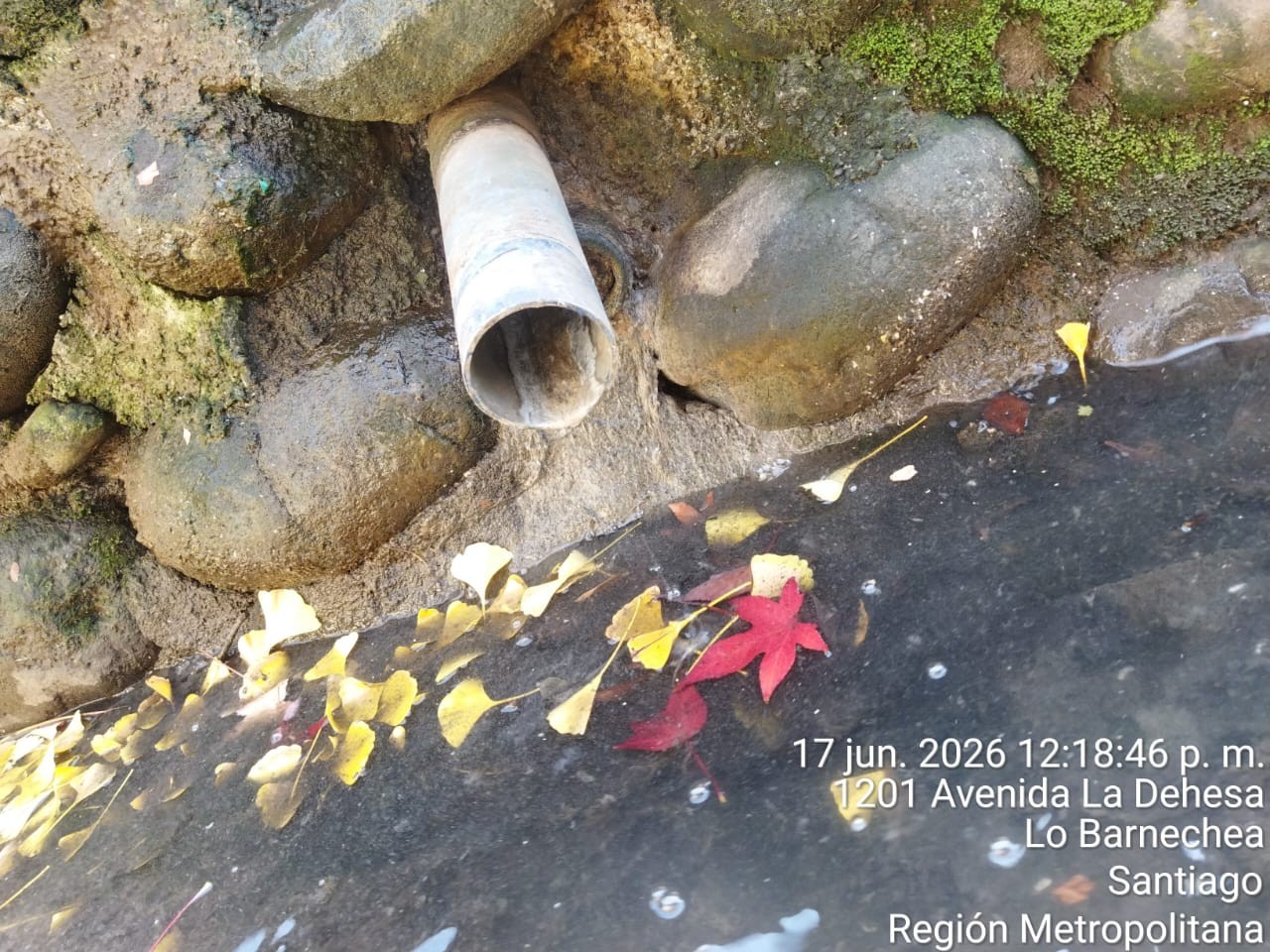 1201 Av. La Dehesa — tubería PVC a nivel del agua