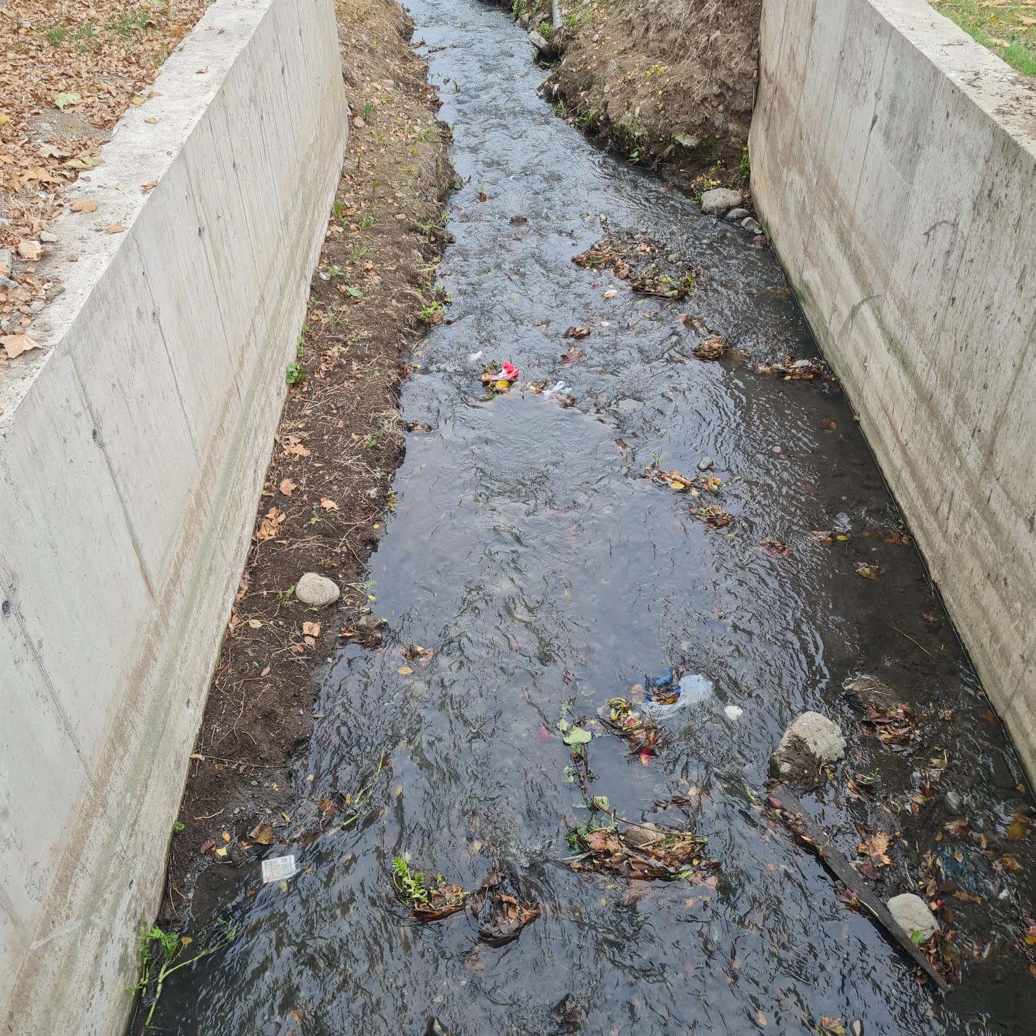 Canal El Gabino — agua oscura contaminada